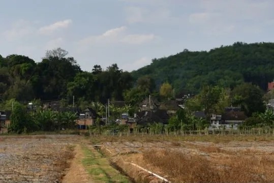 这个暑假跟随导师陈流赴普洱写生吧，一起感受云南风情与水彩艺术的“碰撞”