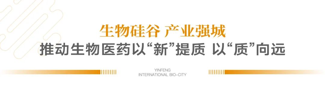 以“新”提质 以“质”向远——银丰国际生物城赋能“新质生产力”持续向强