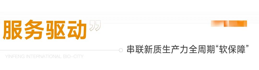 以“新”提质 以“质”向远——银丰国际生物城赋能“新质生产力”持续向强