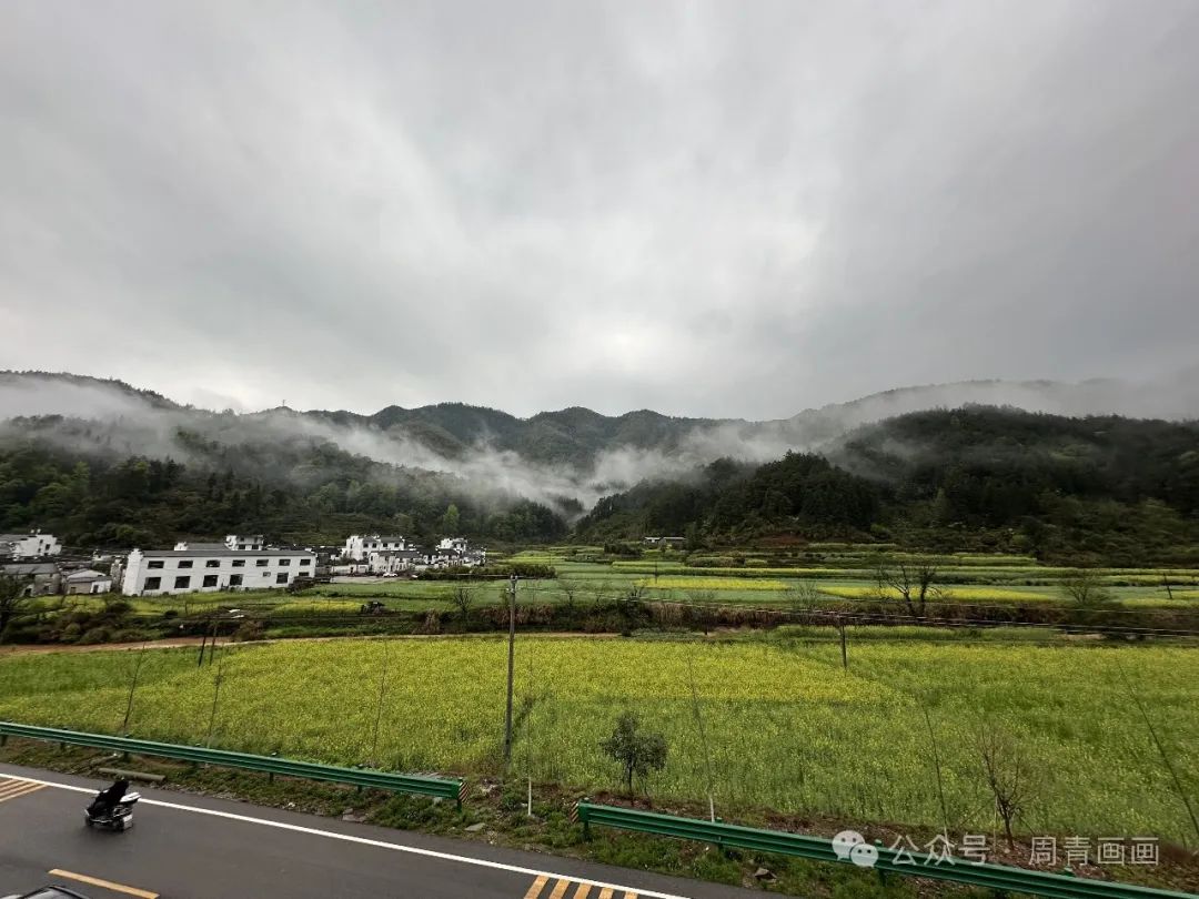 周青写生婺源春色丨烟雨蒙蒙静谧，花在枝头俏立