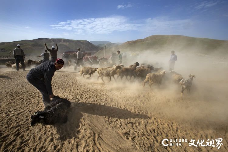 摄影家钱捍镜头下的阿勒泰牧民转场：传统文化与现代生活的融合