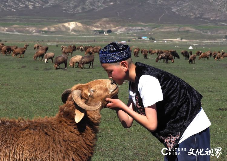 摄影家钱捍镜头下的阿勒泰牧民转场：传统文化与现代生活的融合