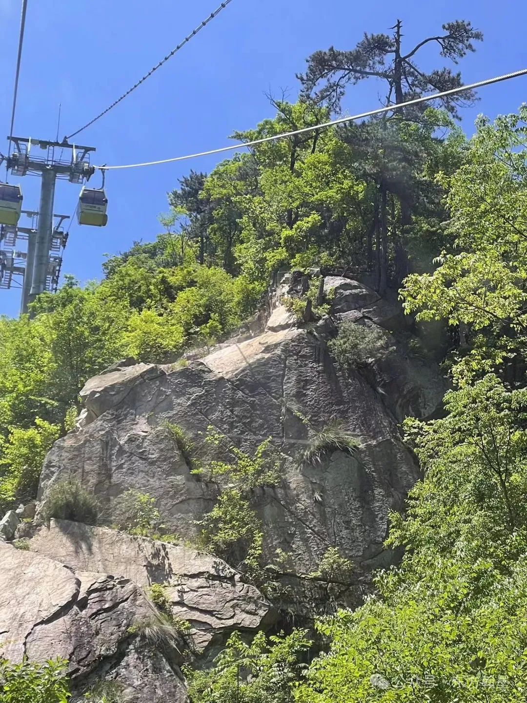 写一山群峰锦绣，生一片奇松朵朵——范扬工作室孟夏时节写生大别山