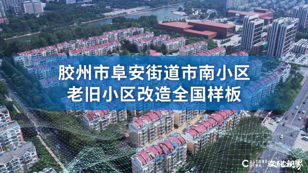 上合示范区：城“势”向新，数字底座托起智慧开放之城