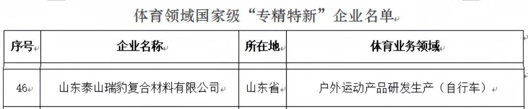 2023泰山体育连续第十年上榜制造业单项冠军企业，泰山瑞豹复合材料获评“专精特新”企业