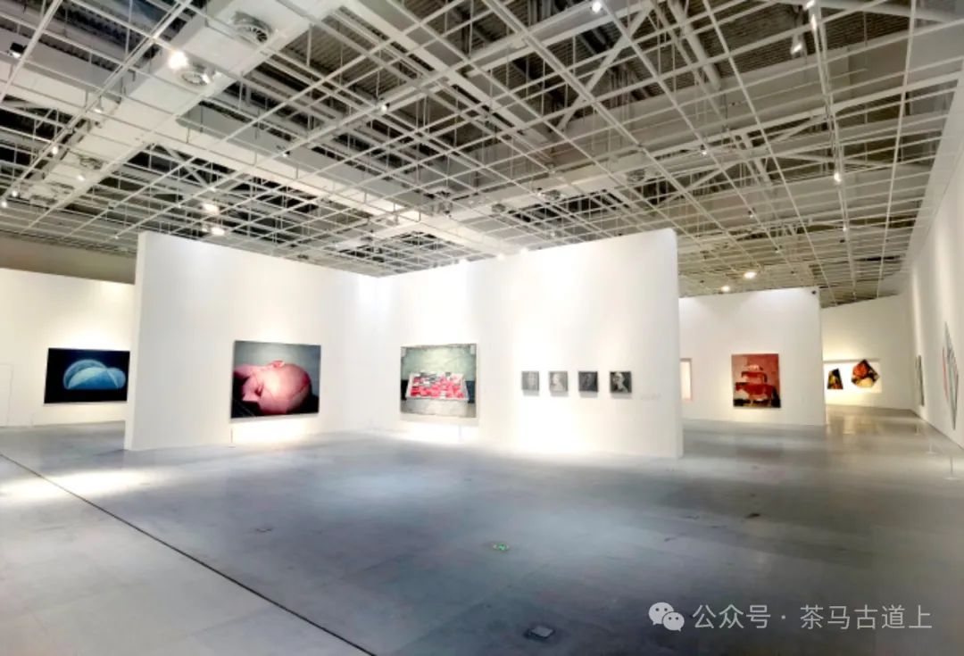 随舒建新一起观展，学看当代艺术