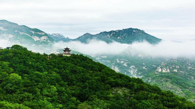 全国围甲联赛今日蒙山之巅再起“硝烟”，鲁渝大战山间奏响国粹玄妙之音