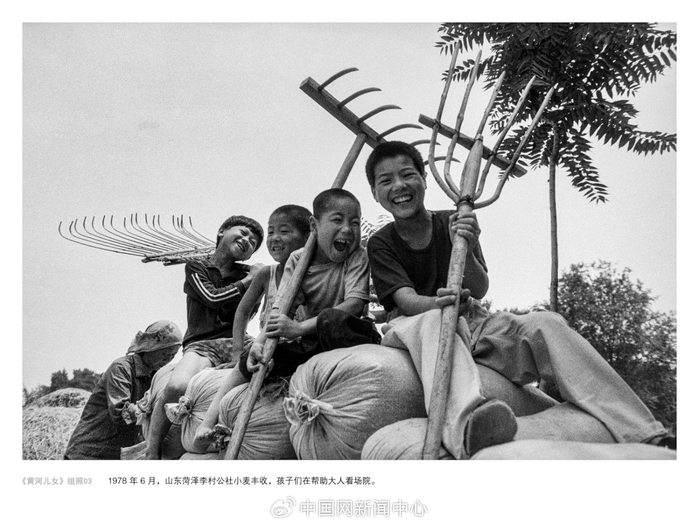 王超英丨 五十载以真写情记录黄河儿女，用镜头抓取感动讲述“黄河故事”