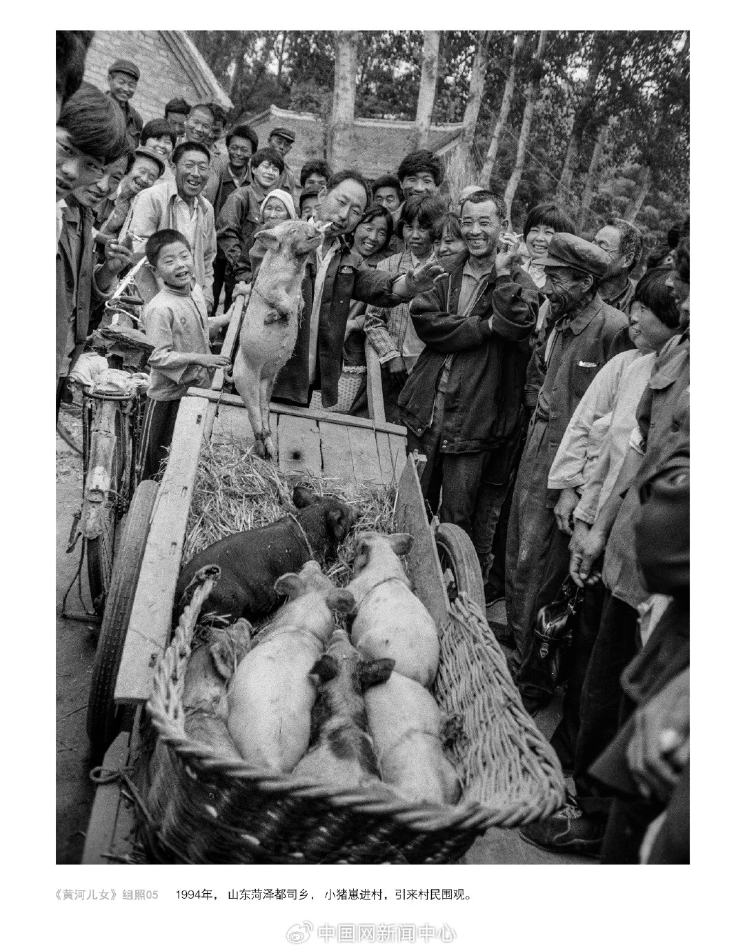 王超英丨 五十载以真写情记录黄河儿女，用镜头抓取感动讲述“黄河故事”