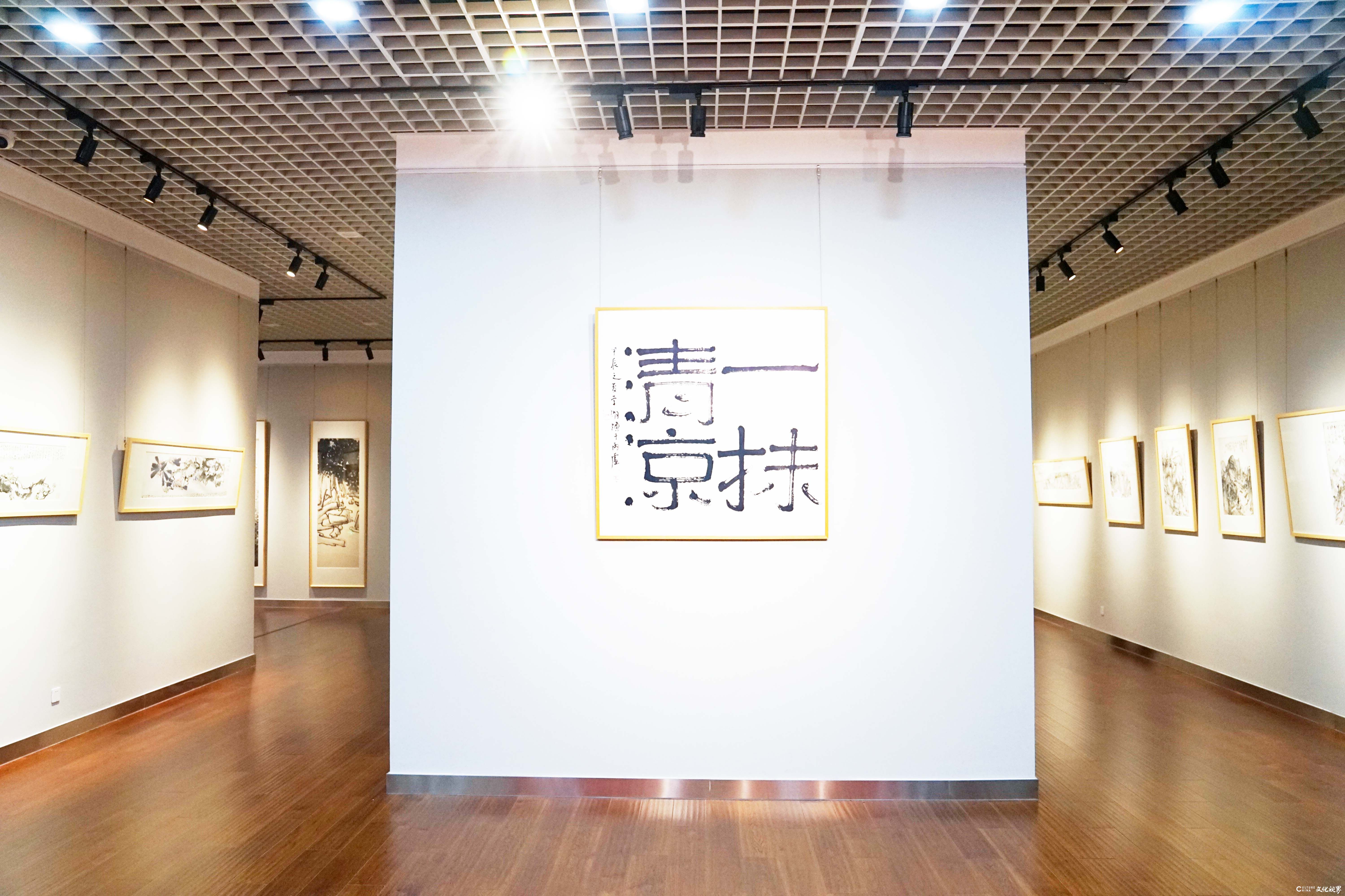 炎夏送清凉！“一抹清凉——甲辰夏至中国画六人作品展”在济南盛大开展