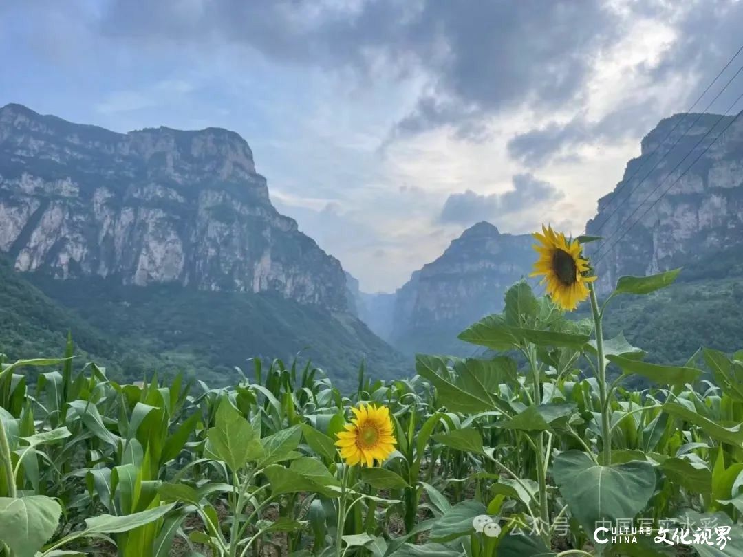 活动7月16日-8月17日，报名中……跟随导师李利民，到山西太行山、甘南开启一场避暑水彩写生之旅