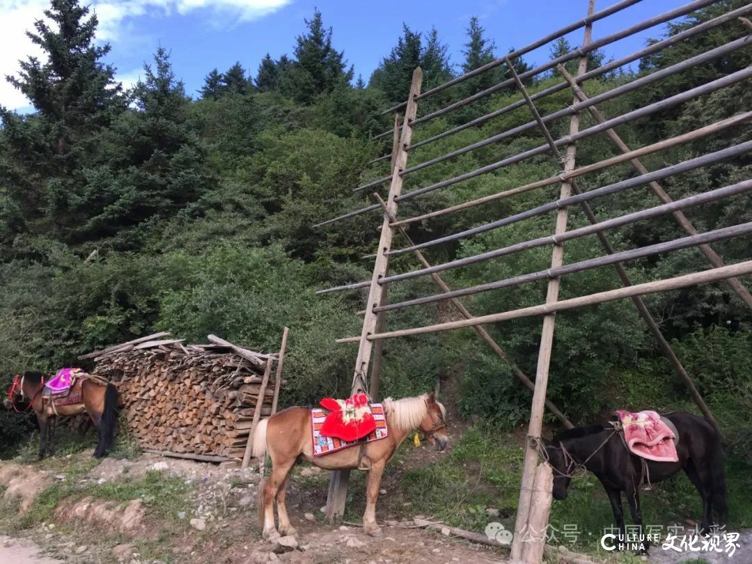 活动7月16日-8月17日，报名中……跟随导师李利民，到山西太行山、甘南开启一场避暑水彩写生之旅