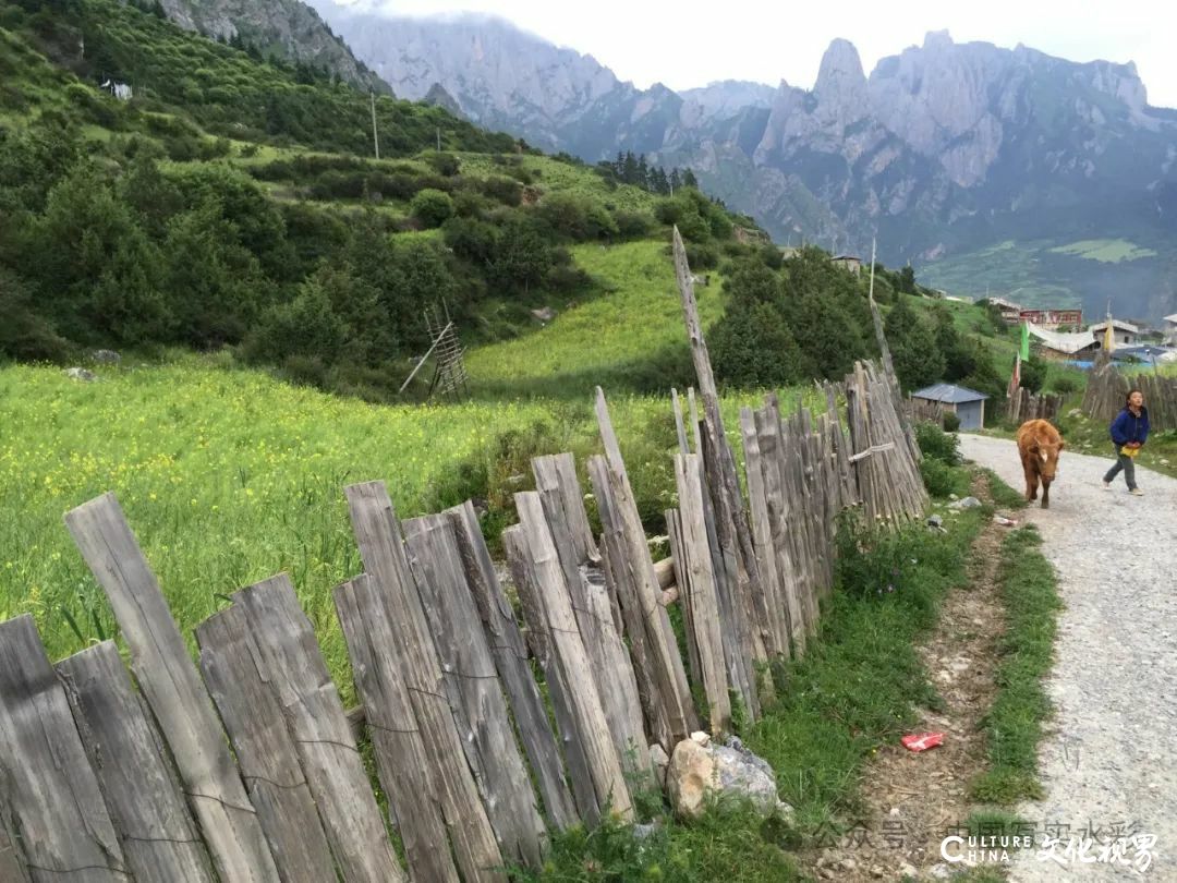 活动7月16日-8月17日，报名中……跟随导师李利民，到山西太行山、甘南开启一场避暑水彩写生之旅