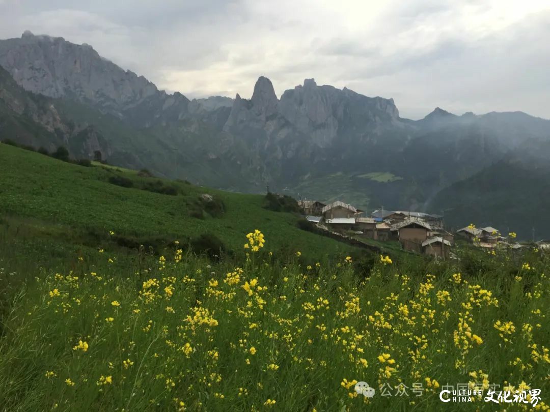 活动7月16日-8月17日，报名中……跟随导师李利民，到山西太行山、甘南开启一场避暑水彩写生之旅