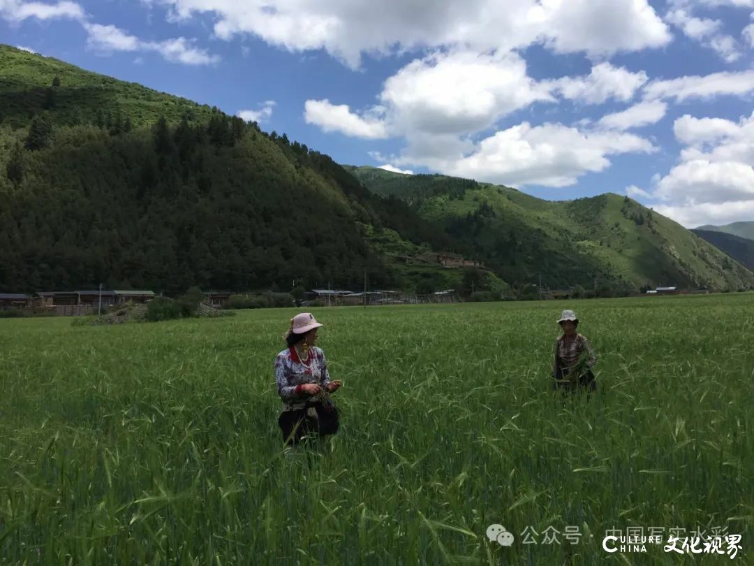 活动7月16日-8月17日，报名中……跟随导师李利民，到山西太行山、甘南开启一场避暑水彩写生之旅