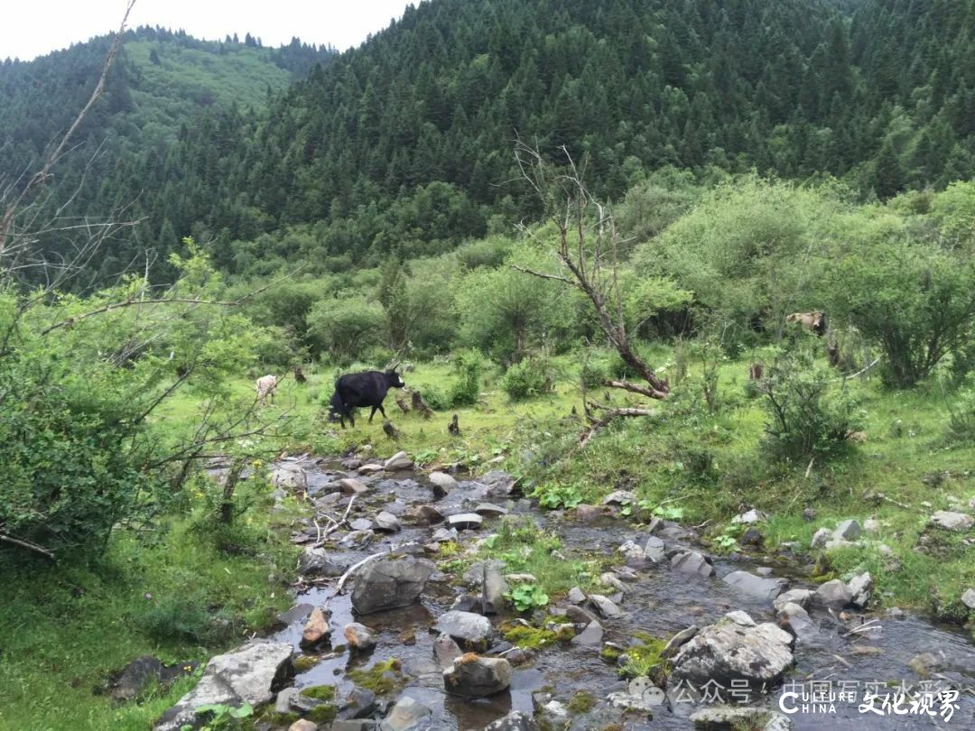 活动7月16日-8月17日，报名中……跟随导师李利民，到山西太行山、甘南开启一场避暑水彩写生之旅