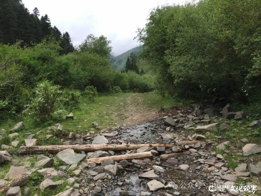 活动7月16日-8月17日，报名中……跟随导师李利民，到山西太行山、甘南开启一场避暑水彩写生之旅