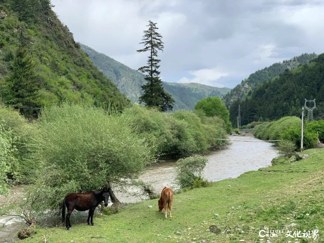 活动7月16日-8月17日，报名中……跟随导师李利民，到山西太行山、甘南开启一场避暑水彩写生之旅