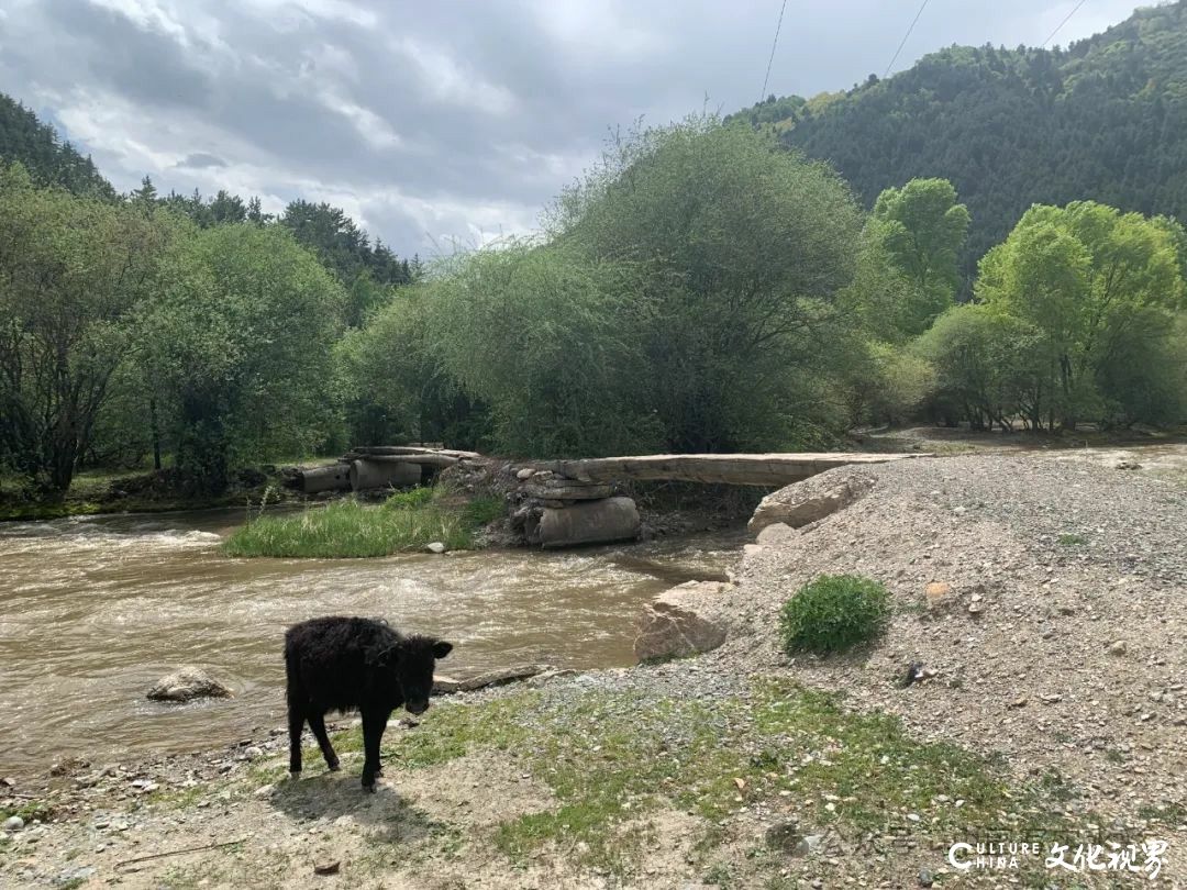 活动7月16日-8月17日，报名中……跟随导师李利民，到山西太行山、甘南开启一场避暑水彩写生之旅