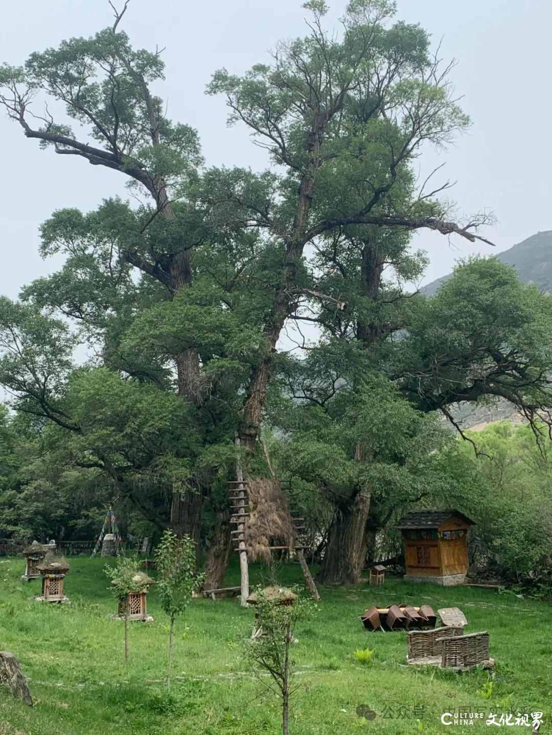 活动7月16日-8月17日，报名中……跟随导师李利民，到山西太行山、甘南开启一场避暑水彩写生之旅