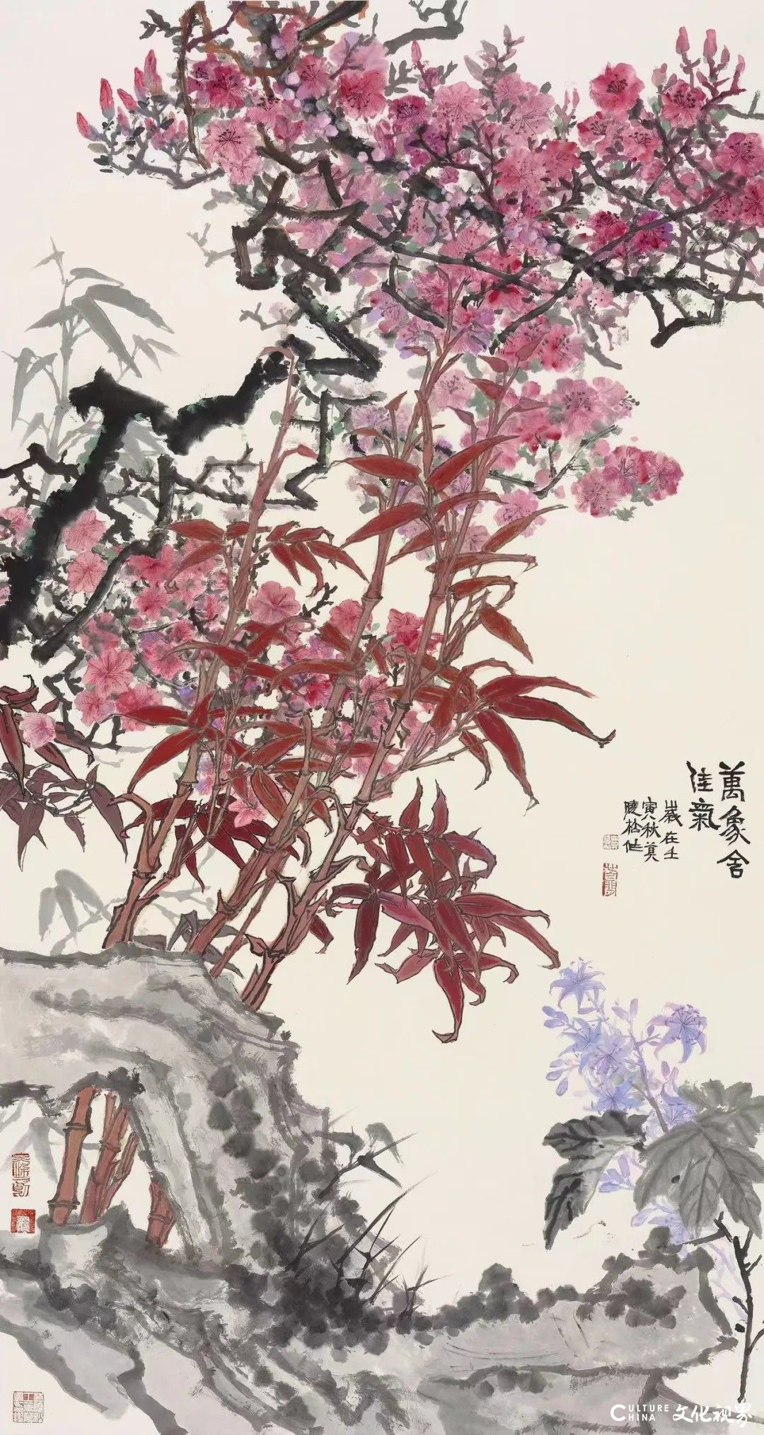 莫晓松花鸟画丨于笔墨古雅中见天地之苍茫，在明丽设色间咏意蕴之悠远