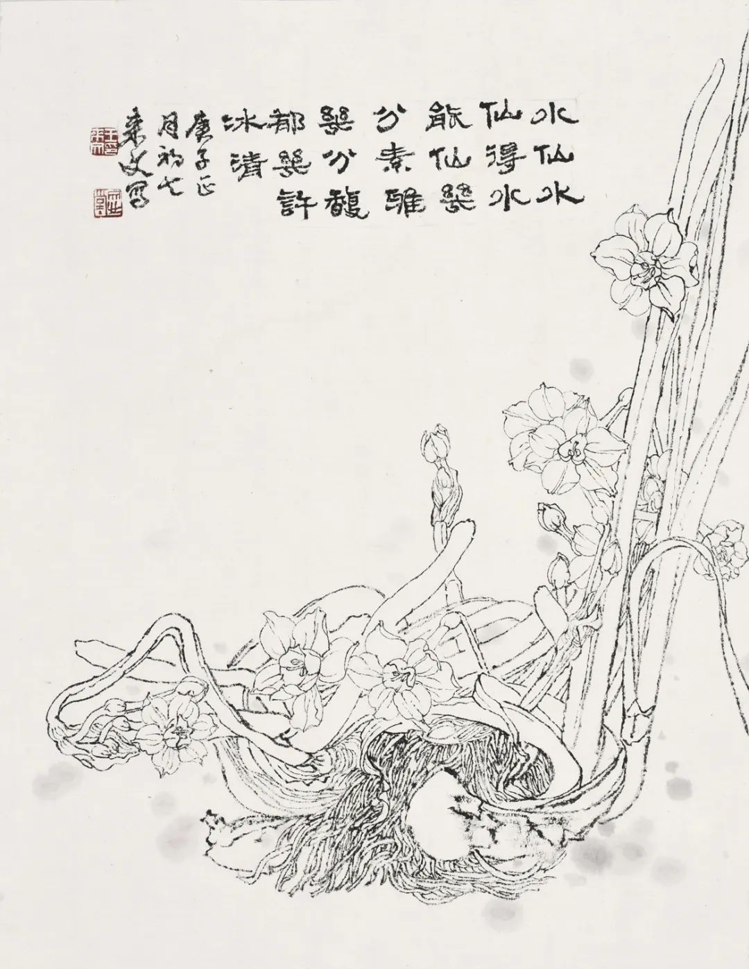 王来文·白描花卉丨于细微处见精妙 在绚烂中品平淡