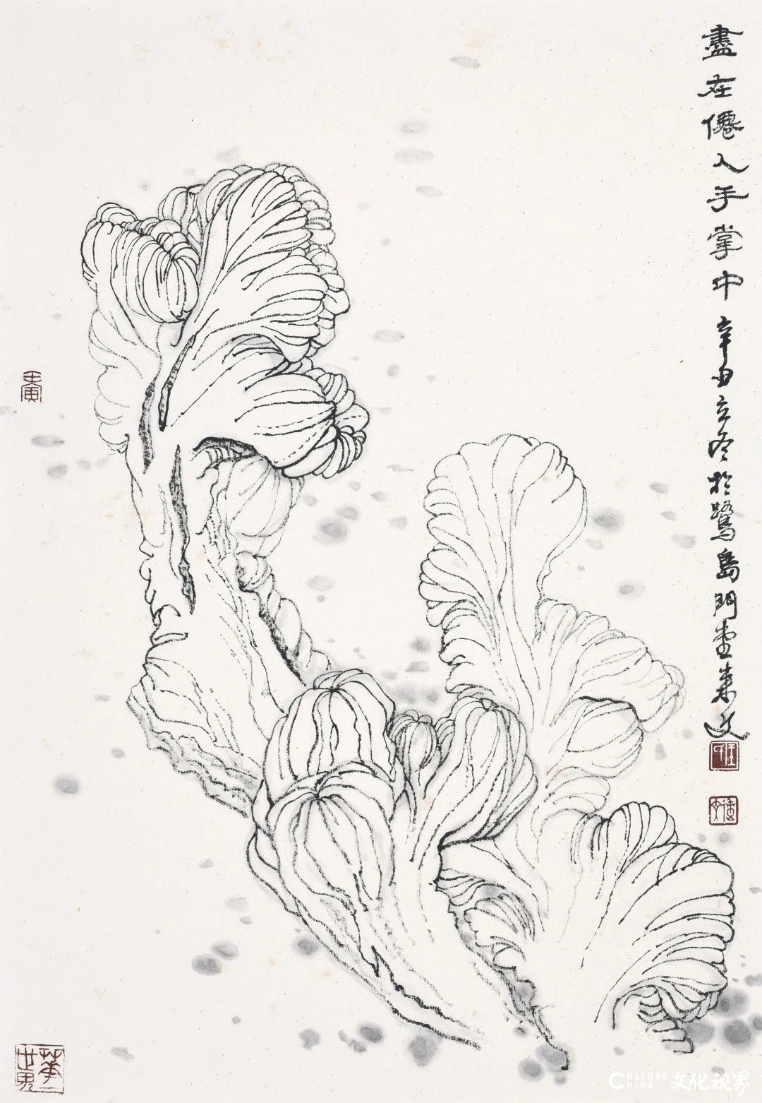 王来文·白描花卉丨于细微处见精妙 在绚烂中品平淡