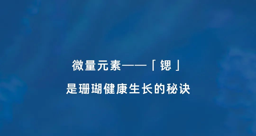 海尔科技破局“水困扰”：从雪山到海洋，每一滴水都蕴含“幸福密码”