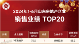 荣耀加冕 佳绩履新——银丰地产登榜2024山东房企上半年销售榜TOP5