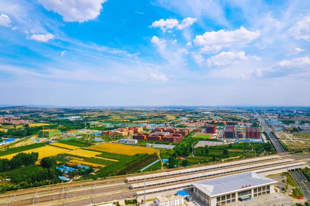 文化立身 产业报国 | 青岛广电教育频道《顶峰问学》对话山东文化产业职业学院董事长李京平