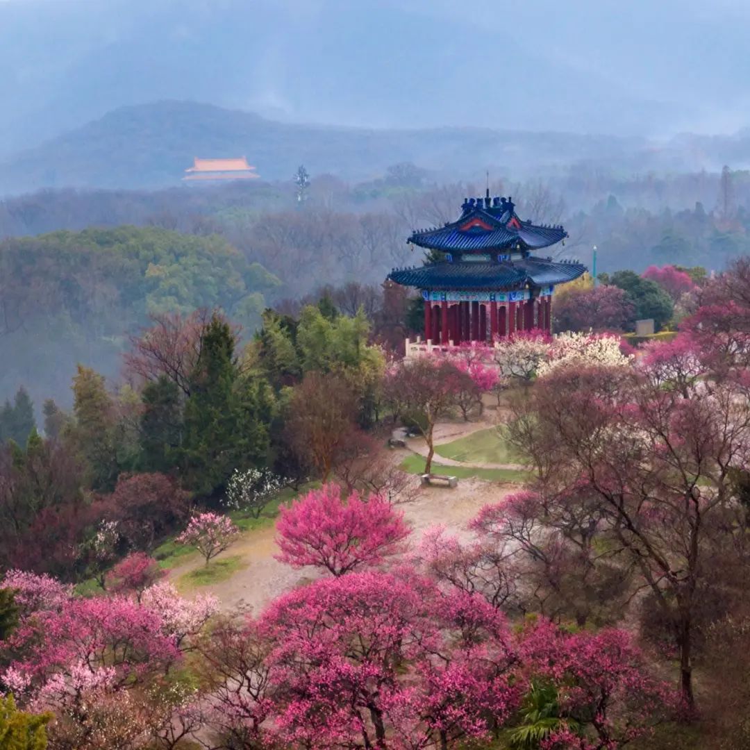 毕宝祥画美钟山｜钟山十八景之云杉水镜 双湖环翠