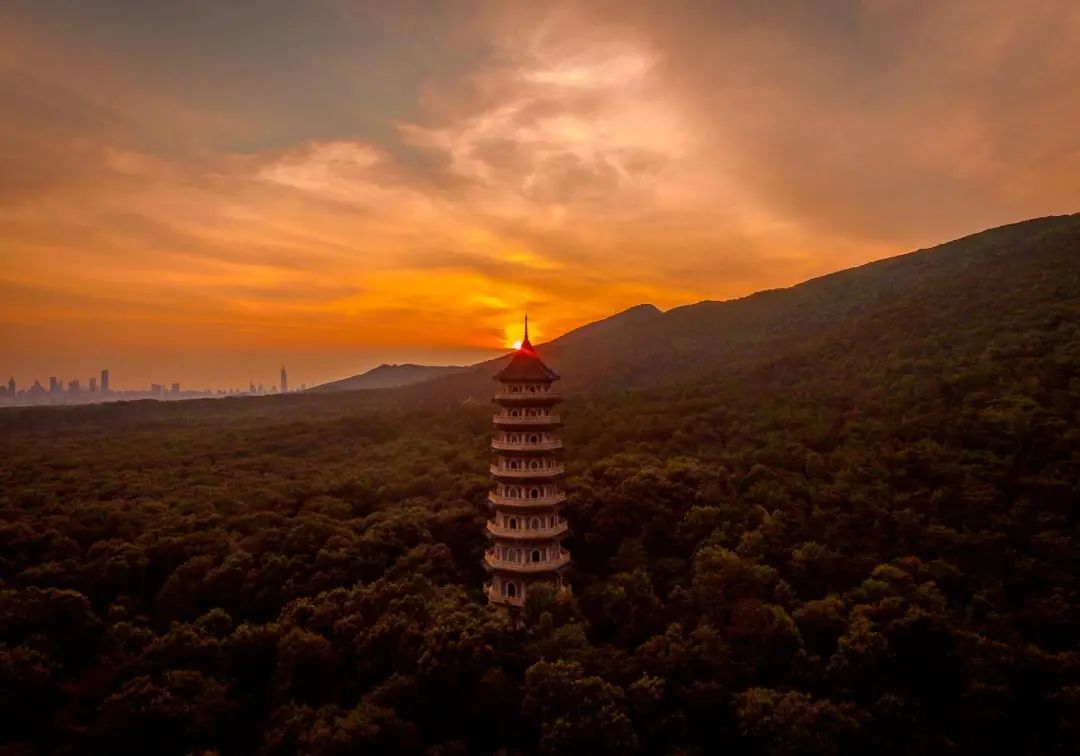 毕宝祥画美钟山｜钟山十八景之云杉水镜 双湖环翠