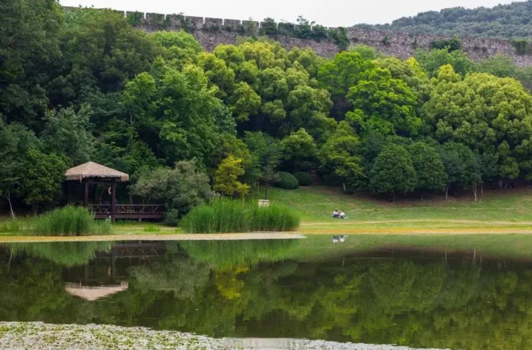 毕宝祥画美钟山｜钟山十八景之云杉水镜 双湖环翠