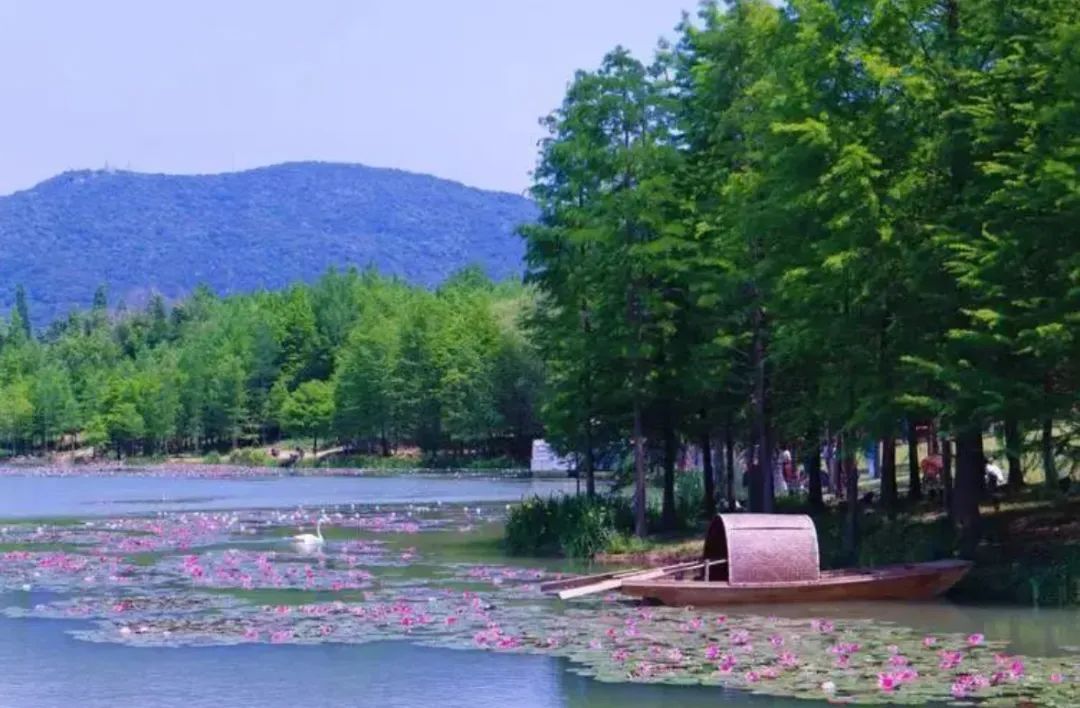 毕宝祥画美钟山｜钟山十八景之云杉水镜 双湖环翠