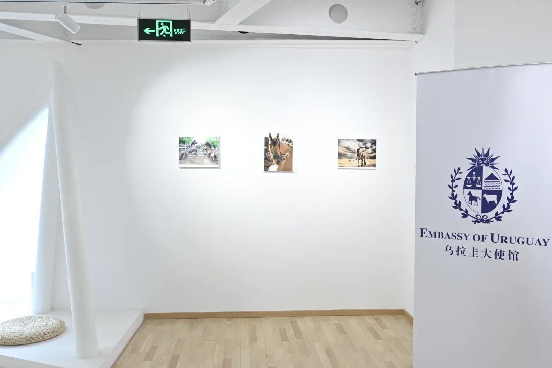 “乌拉圭，一个了不起的小国家——马塞洛·卡塔尼摄影展”在北京开幕，展期至8月2日