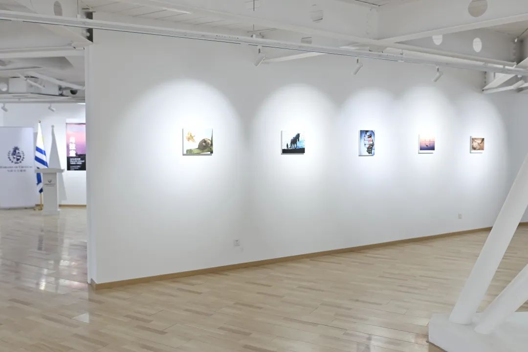 “乌拉圭，一个了不起的小国家——马塞洛·卡塔尼摄影展”在北京开幕，展期至8月2日