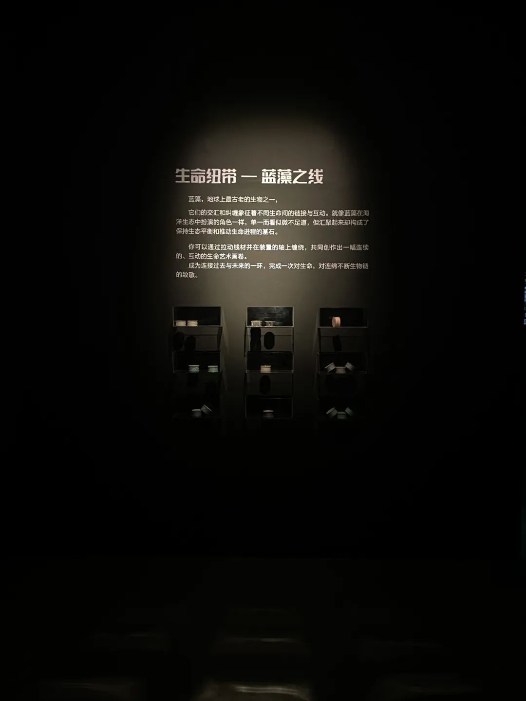 一场AI智能与感知交织的奇妙邂逅 | “無限之海——沉浸式AI数字艺术展”全国首展将于7月13日亮相山东美术馆