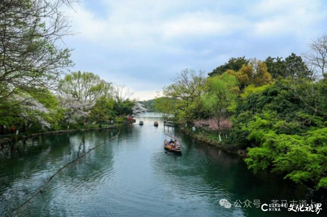 跟随舒建新徜徉在诗画江南，到灵感的湖畔接受艺术的洗礼