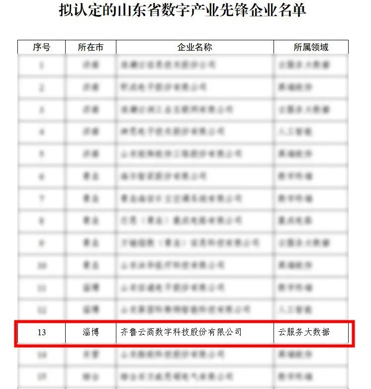 齐鲁云商获评首批山东省数字产业先锋企业