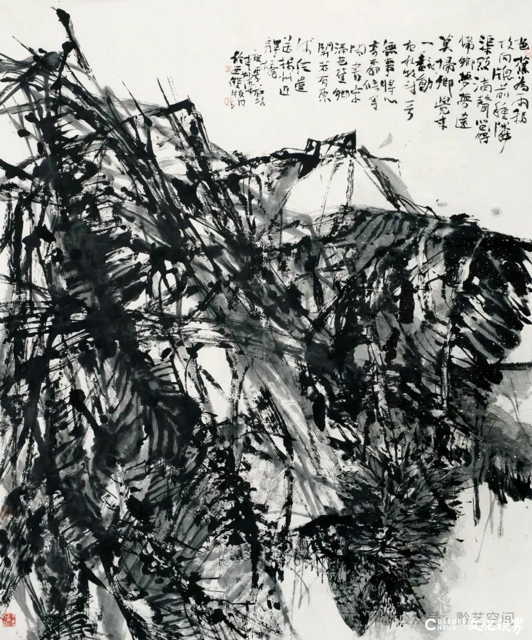 “缤纷版纳 走进富春——李妙染书画印瓷作品展”丨名家贺信与采访集锦