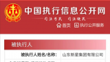 因涉多年金融借款合同纠纷，山东新星集团有限公司被执行502万元