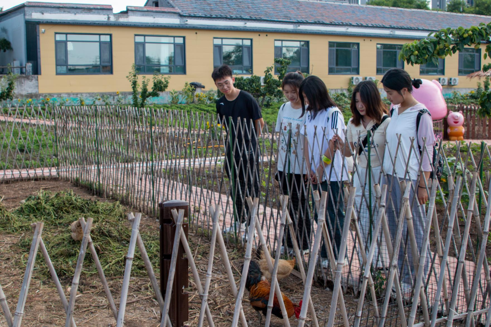 青春筑梦，挺膺担当——山东工程职业技术大学“三下乡”活动走入基层走近人民（二）