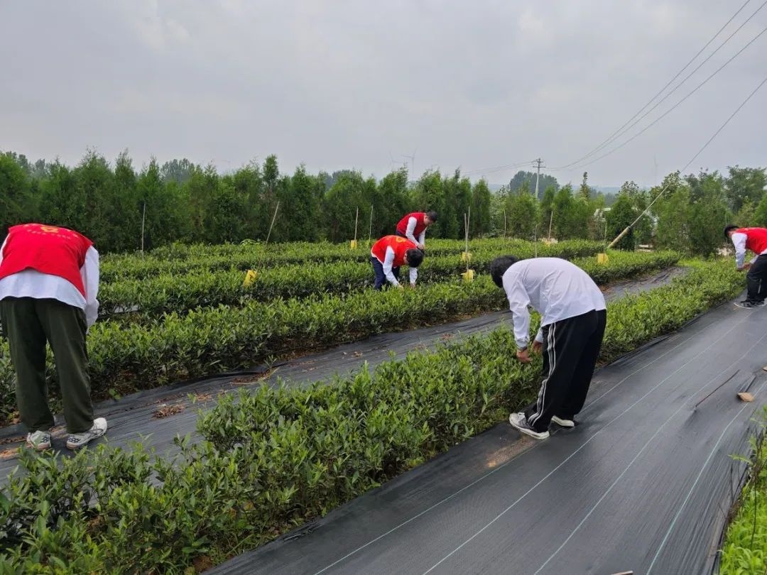 青春筑梦，挺膺担当——山东工程职业技术大学“三下乡”活动走入基层走近人民（三）