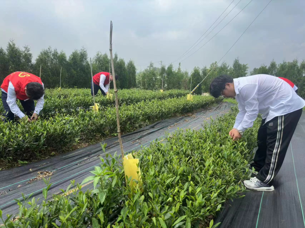 青春筑梦，挺膺担当——山东工程职业技术大学“三下乡”活动走入基层走近人民（三）