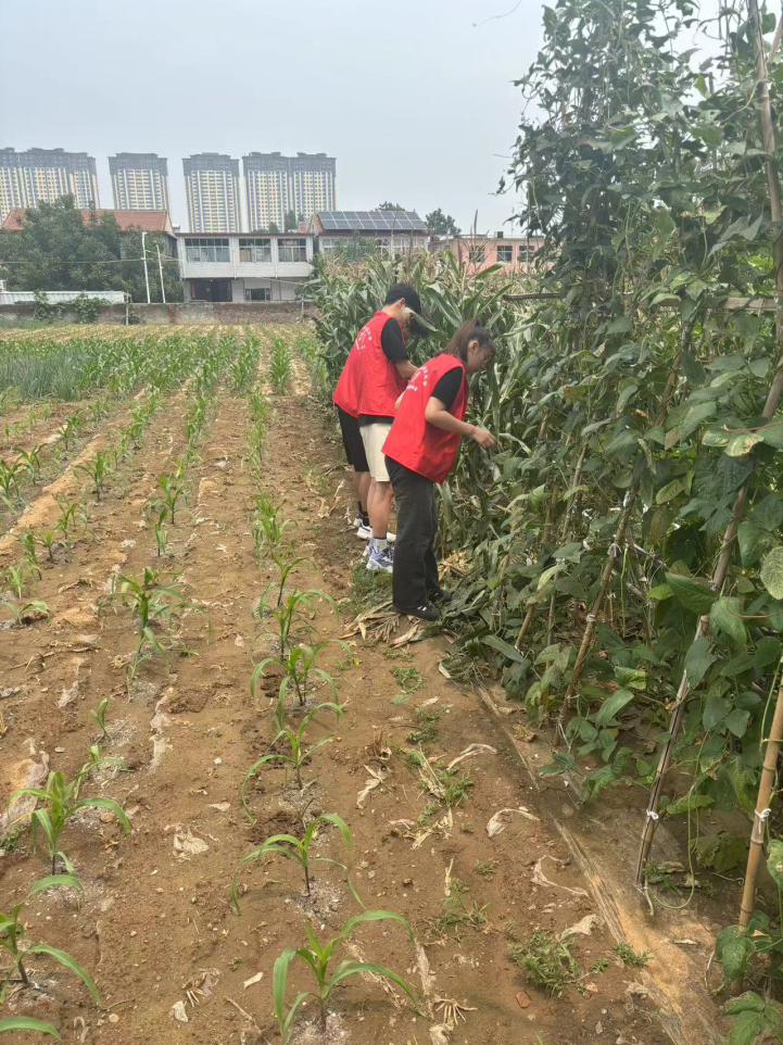 青春筑梦，挺膺担当——山东工程职业技术大学“三下乡”活动走入基层走近人民（三）