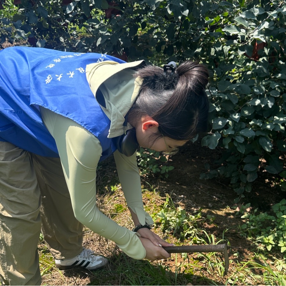 青春筑梦，挺膺担当——山东工程职业技术大学“三下乡”活动走入基层走近人民（四）