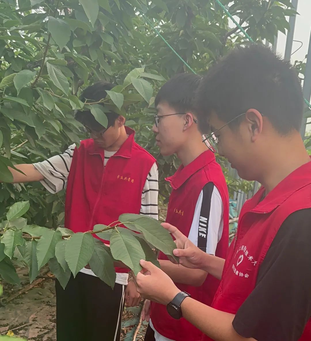 青春筑梦，挺膺担当——山东工程职业技术大学“三下乡”活动走入基层走近人民（四）