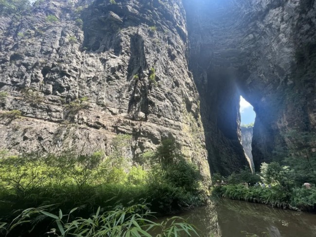 邓建强水墨日记丨到武隆仙女山避暑纳凉，赏森林草原旖旎风光