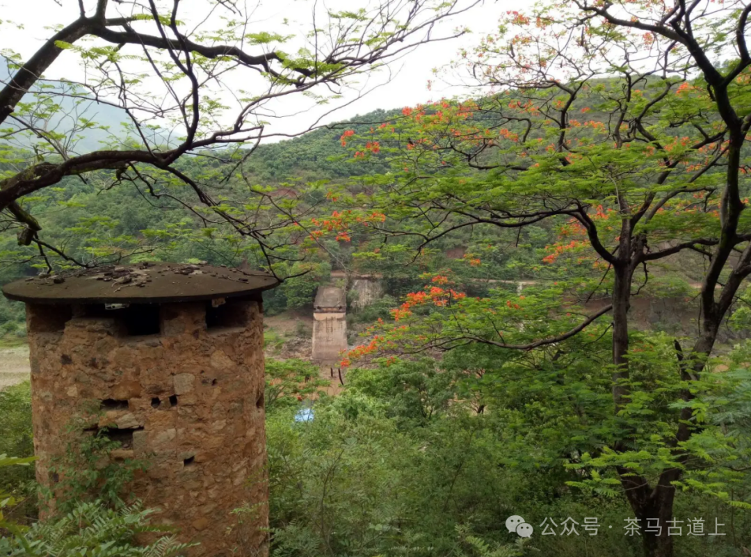 随舒建新参观元江阻击战遗址，回望血与火铸就的峥嵘岁月