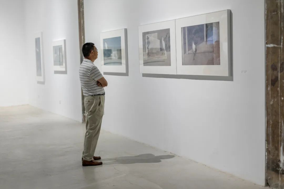 “陈林中国画作品展”在南京芥墨艺术馆开展，展期至9月14日